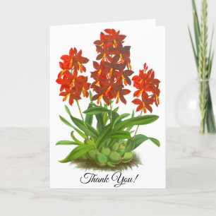 Personalisierte Karte mit orange-roter Orchideenbl