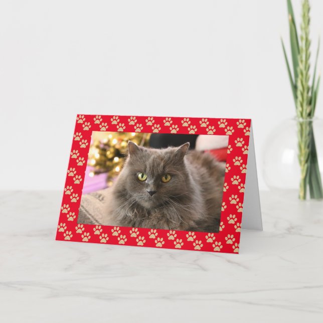 Personalisierte Katze Meowy Weihnachtskarte Feiertagskarte (Vorderseite)