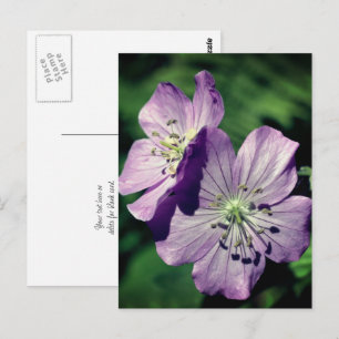 Personalisierte Lavendel-Geranium-Blüten Postkarte