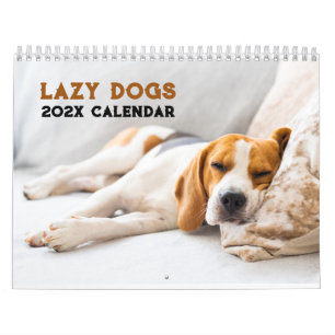 Personalisierte lustige faule Hunde 2027 Kalender
