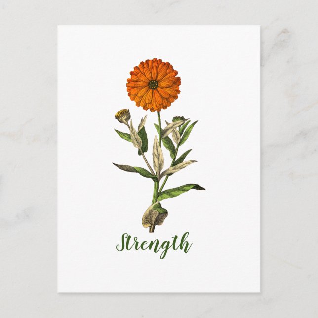 Personalisierte Marigold-Festigkeit Inspirationska Postkarte (Vorderseite)