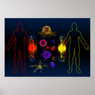 Personalisierte Medikation Poster