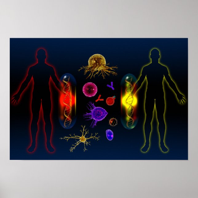 Personalisierte Medikation Poster (Vorne)