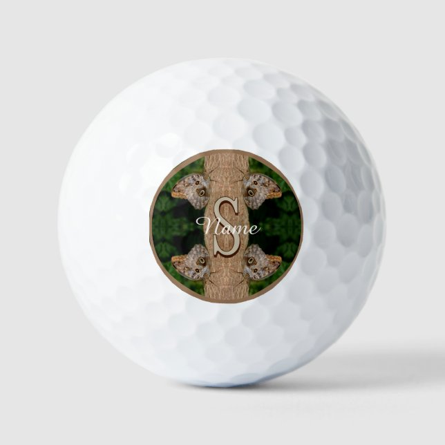 Personalisierte Monogramm-Initialen Name Schmetter Golfball (Vorderseite)