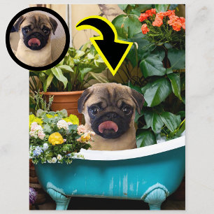 Personalisierte Neues-Hund-Geburtsanzeige-Foto Postkarte