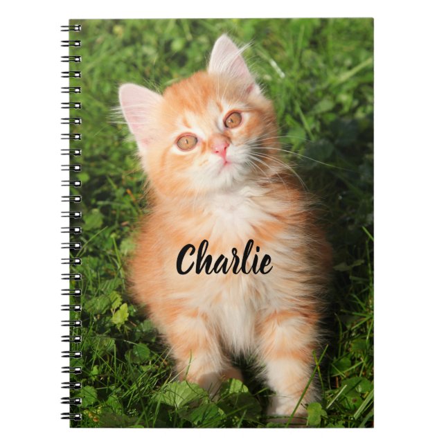 Personalisierte Niedliche Fluffy Orange Tabby Cat  Notizblock (Vorderseite)