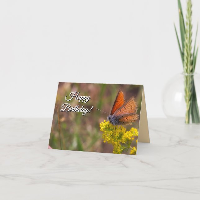 Personalisierte Niedliche Orangenschmetterlingsgel Dankeskarte (Vorderseite)