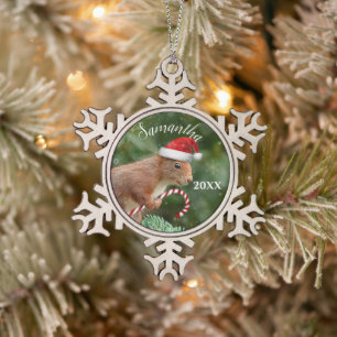 personalisierte Ornament des Weihnachtseichhörnche