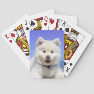 Personalisierte Pet-Foto-Spielkarten Spielkarten