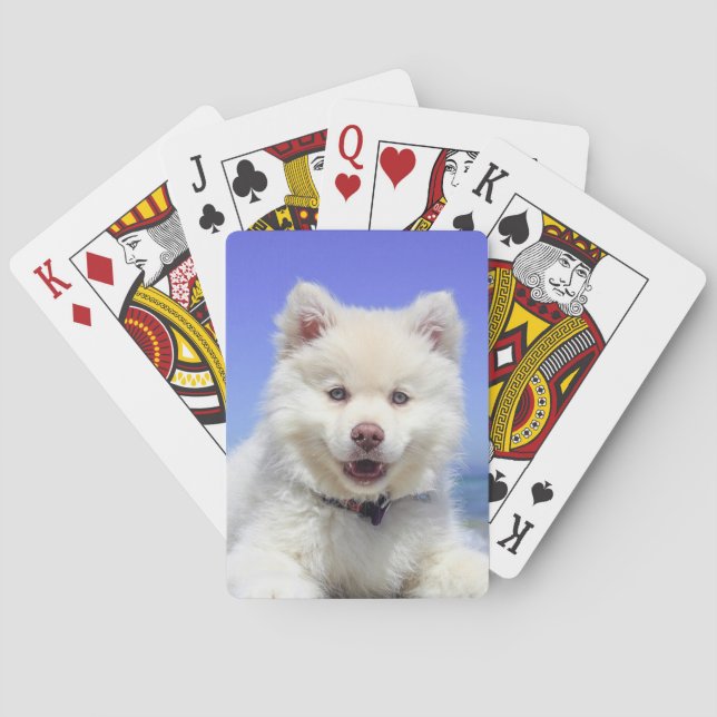 Personalisierte Pet-Foto-Spielkarten Spielkarten (Rückseite)