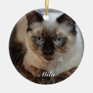 Personalisierte Ragdoll Katze Foto und Name Keramik Ornament