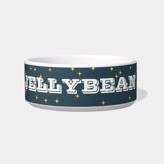 Personalisierte Retro Pet Bowl: Hell und Spaß Napf