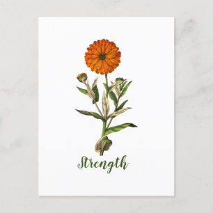 Personalisierte Ringelblume-Stärke-Inspirationskar Postkarte