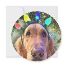 Personalisierte Round Golden Retriever Card