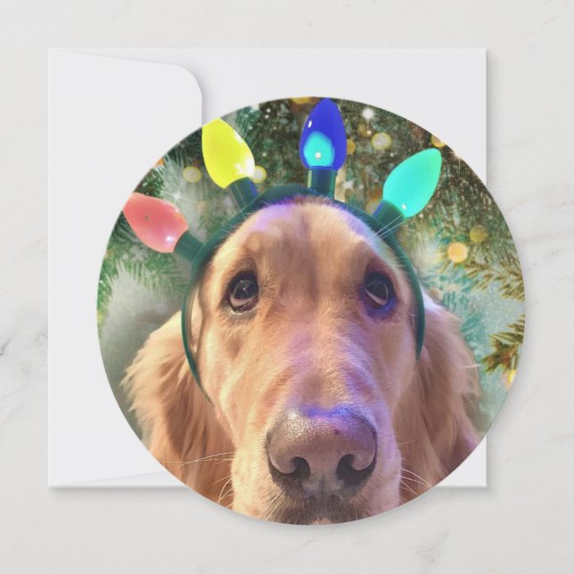 Personalisierte Round Golden Retriever Card Feiertagskarte (Vorderseite)