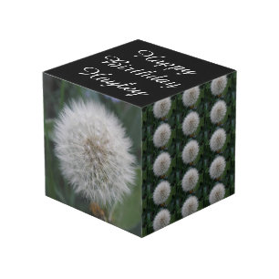Personalisierte Samenleuchte-Blume Würfel