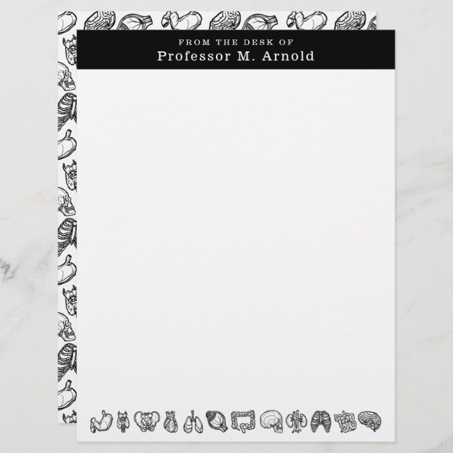 Personalisierte Skizze der modernen Anatomie Briefbogen (Vorne/Hinten)