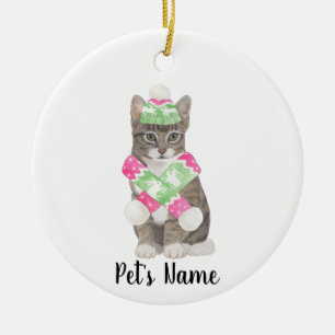 Personalisierte Tabby-Katze (grau) Pink & Green Sc Keramik Ornament