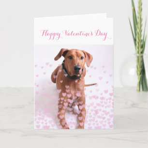 Personalisierte Valentinstagskarte - Hund Karte