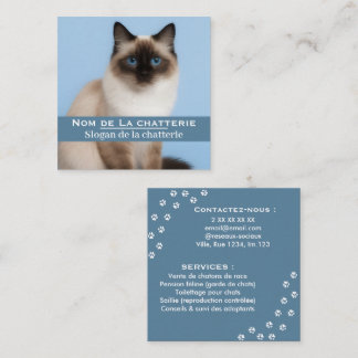 Personalisierte Visitenkarte elegante Katzenzucht