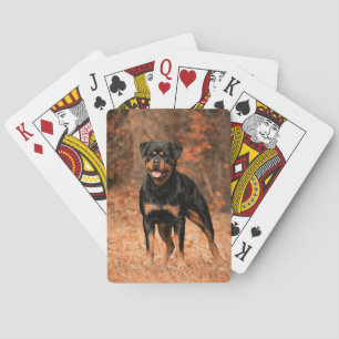 Personalisierte Vollfoto-Anpassung Spielkarten