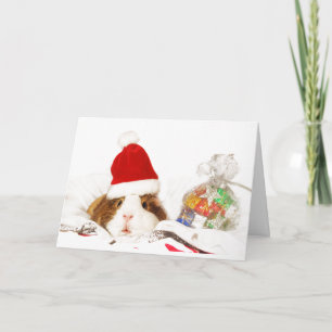 PERSONALISIERTE WEIHNACHTSKARTE MEERSCHWEINCHEN MI KARTE
