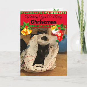 Personalisierte Weihnachtskarten für Katzen Karte