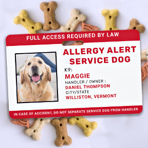 Personalisierter Allergie-Warndienst Hunde-Foto-ID Ausweis