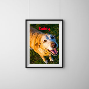 Personalisierter älterer Hund Gedenkposter Foto Poster