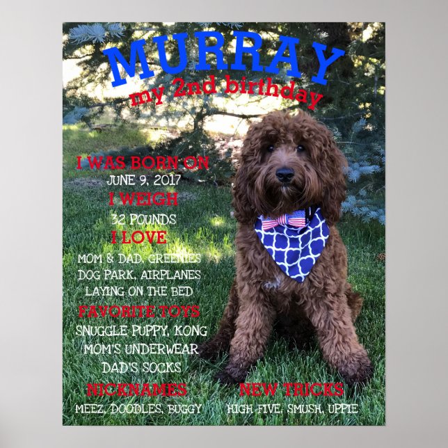Personalisierter BARKday Hund Geburtstagsparty Mei Poster (Vorne)