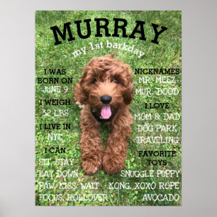 Personalisierter BARKday Hund Geburtstagsparty Mei Poster