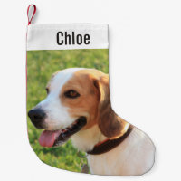 Personalisierter Beagle Foto- und Dogenname