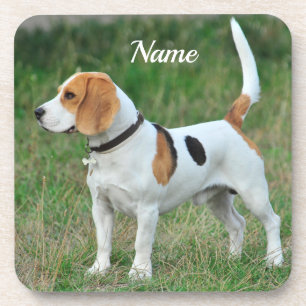 Personalisierter Beagle Hound Hund Getränkeuntersetzer