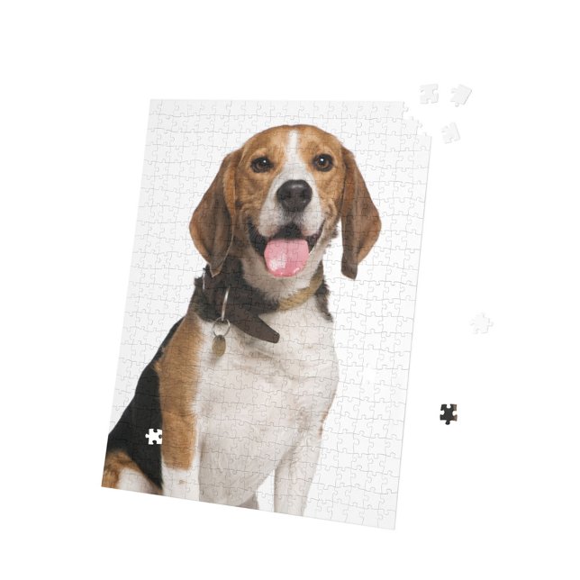Personalisierter Beagle Hund Foto Jigsaw Puzzle (Von Creator hochgeladen)