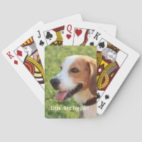 Personalisierter Beagle-HundeFoto-und Hundename