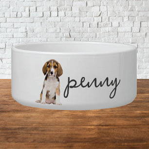 Personalisierter Beagle Hundefutter Napf