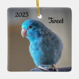 Personalisierter Blauer Parrotlet-Bird Keramikornament