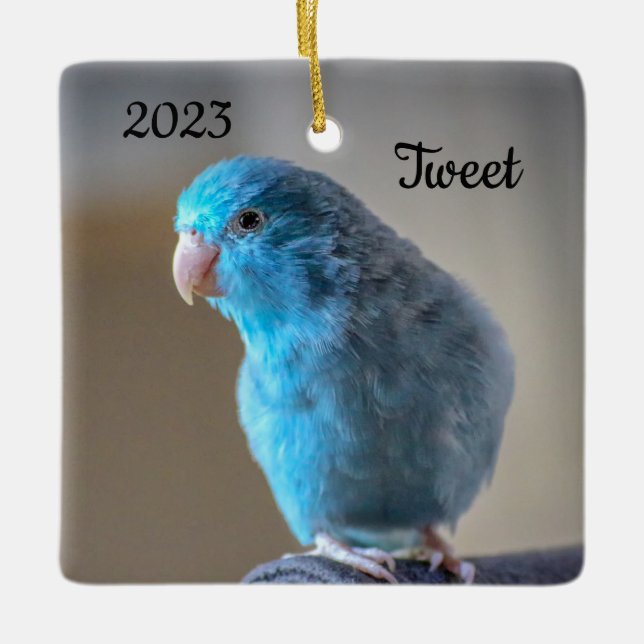 Personalisierter Blauer Parrotlet-Bird Keramikornament (Vorderseite)