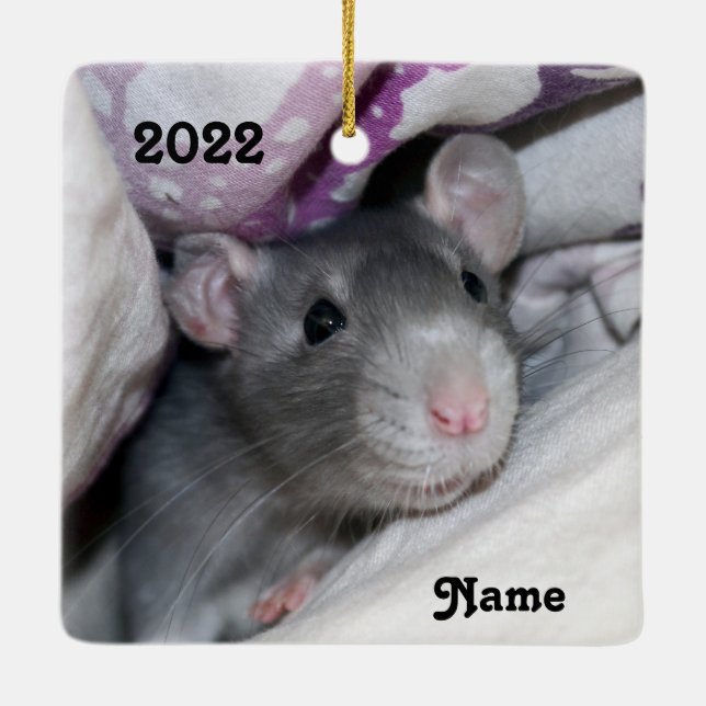 Personalisierter Blue Pet Rat Keramikornament (Rückseite)