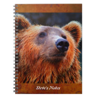 Personalisierter Braunbär Portrait Wildlife Foto