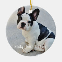 Personalisierter Bulldoggen-Foto-und