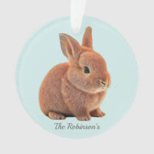 Personalisierter Bunny auf Light Blue Ornament