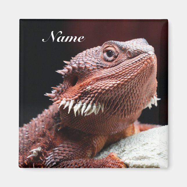 Personalisierter erwachsener roter Bartdrache Magnet (Vorne)