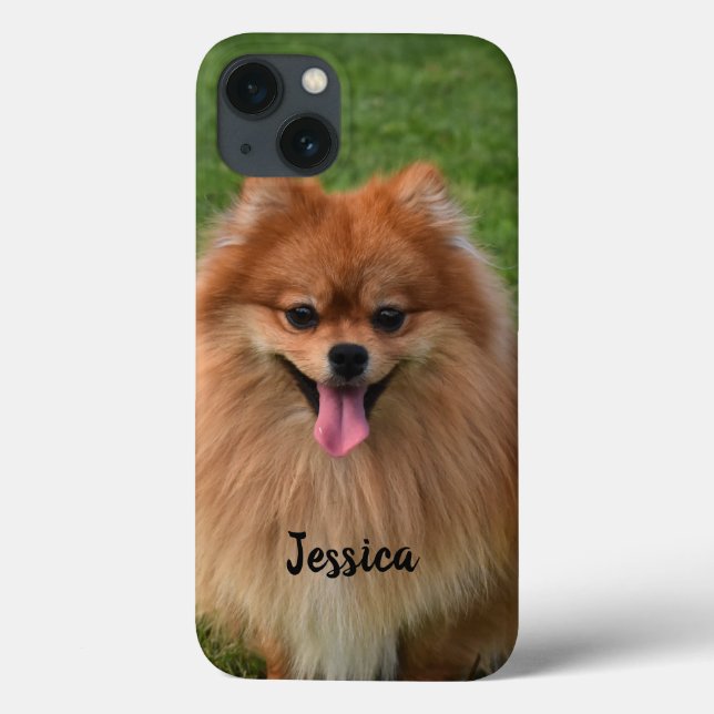 Personalisierter Fluffy Brown Spitz Welpenhund Case-Mate iPhone Hülle (Rückseite)
