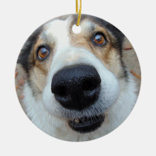 Personalisierter Foto-Hundeschluss über benutzerde Keramik Ornament