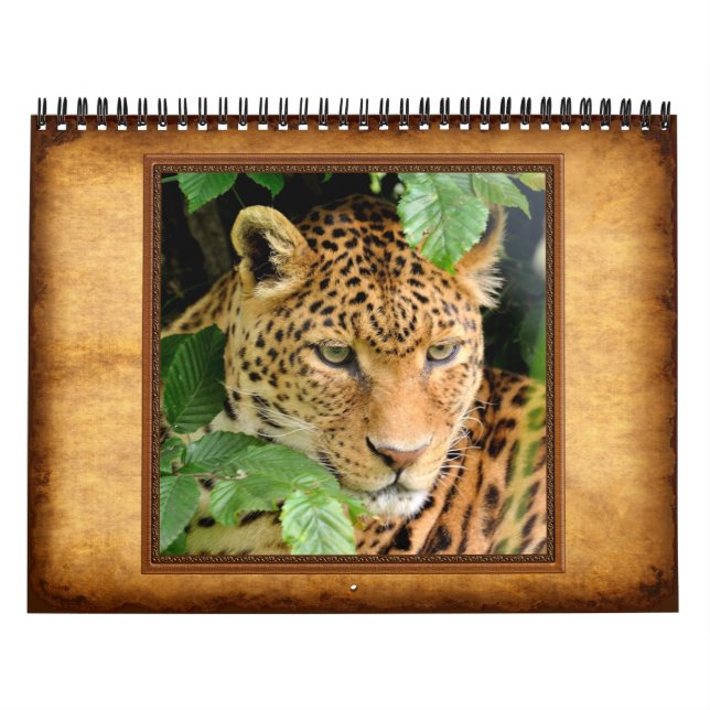 Personalisierter Foto-Kalender mit Ihren Bildern Kalender (Titelbild)