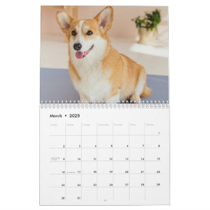 Personalisierter Funny Corgi Dog Foto-Kalender Kalender