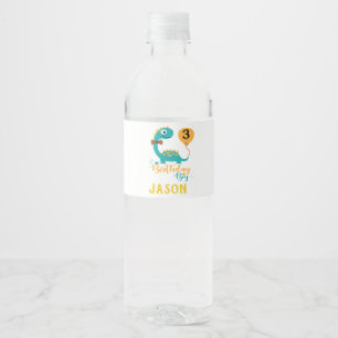 Personalisierter Geburtstag Boy Dinosaurier Wasserflaschenetikett