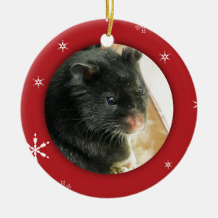Personalisierter Hamster-/Haustier-Foto-Feiertag Keramikornament