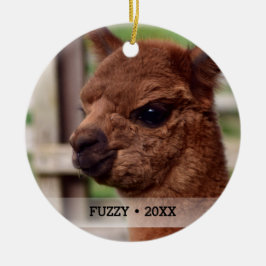 Personalisierter Haustier Alpaca Foto Name Weihnac Keramik Ornament